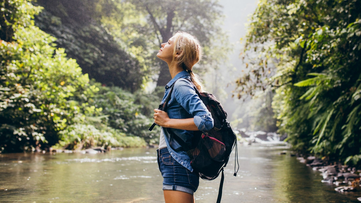 Shop Our Delicious Nourish Collection