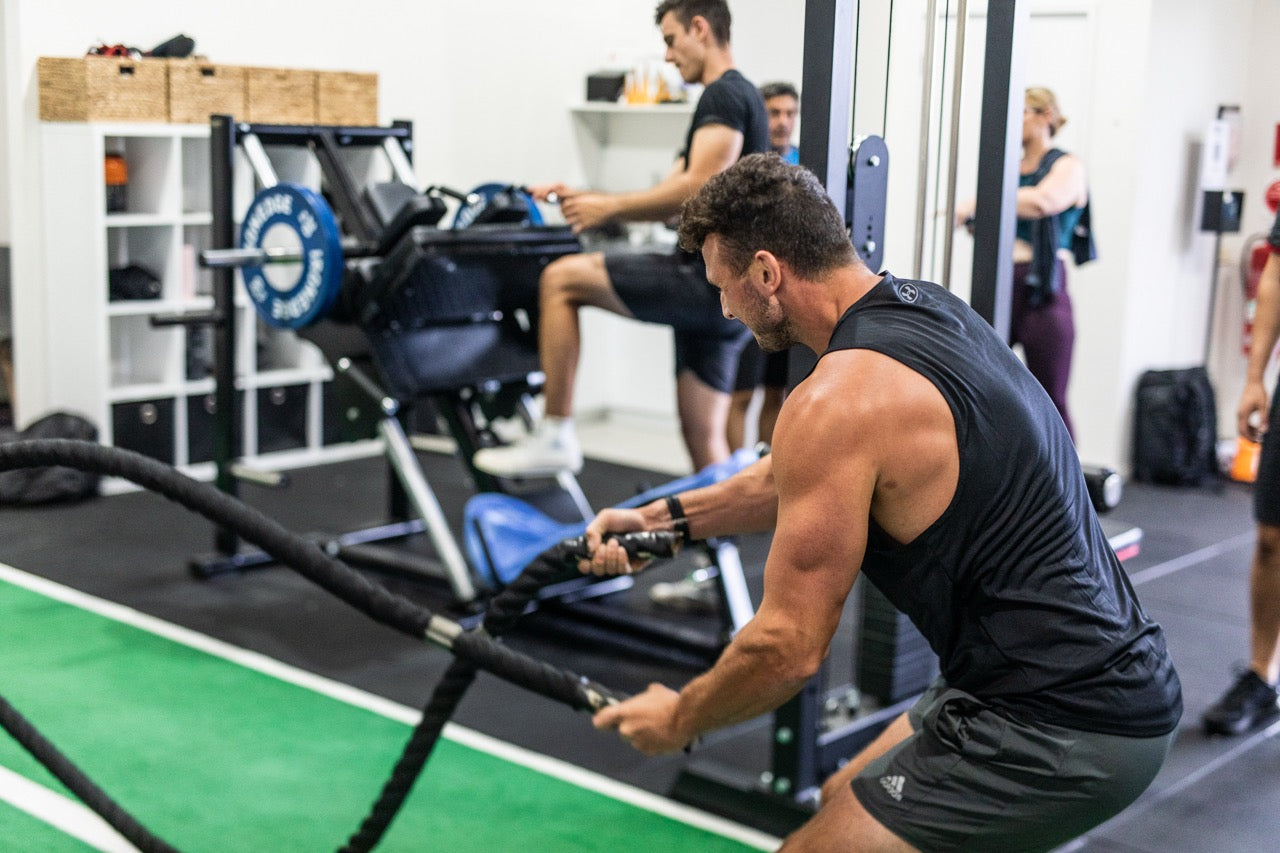 Performance Range with Pure Plant Protein