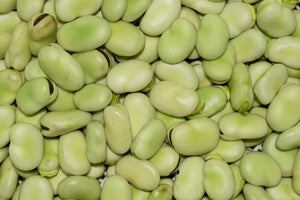 Australian Faba Beans