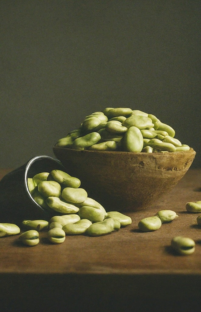 At Inna Protein we produce in-house so we can oversee every stage of the protein blend. 